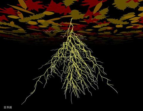 土壤肥料养分速测仪