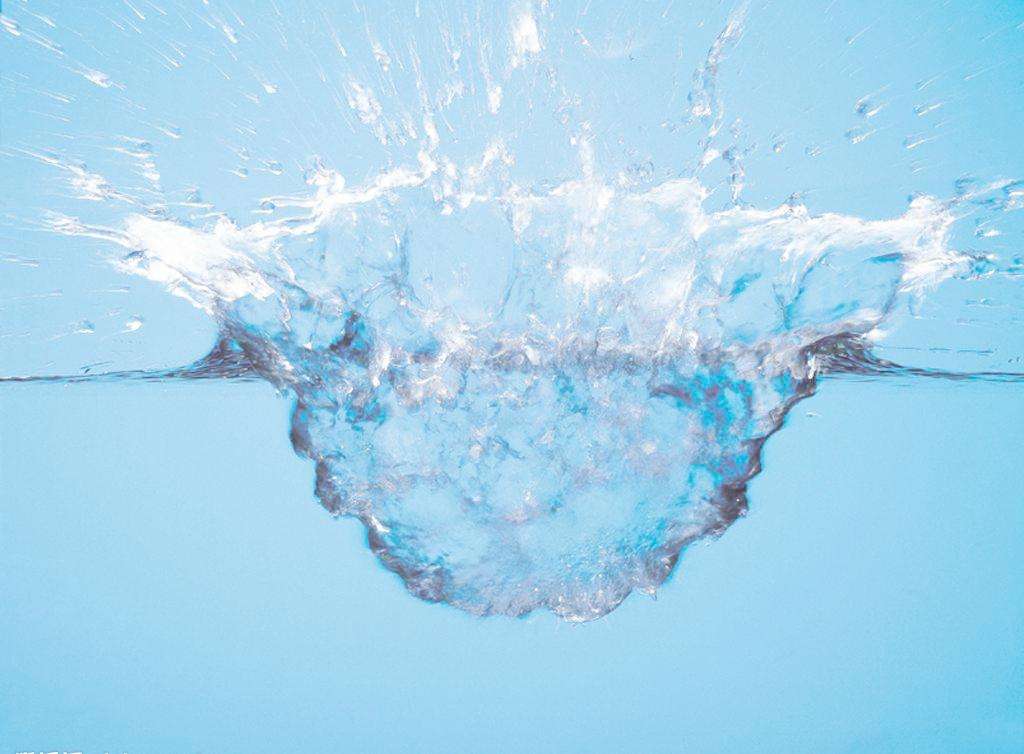 土壤水分速测仪