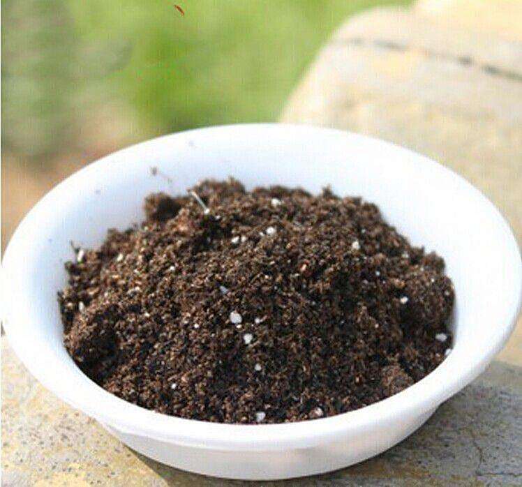 土壤养分速测仪