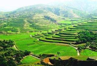 土壤养分检测仪