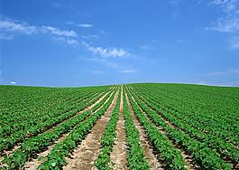 土壤养分速测仪