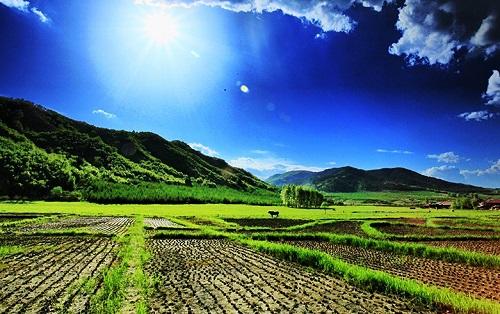 土壤养分速测仪