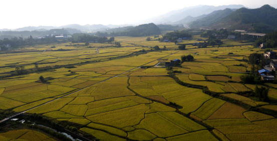 测土配方施肥仪