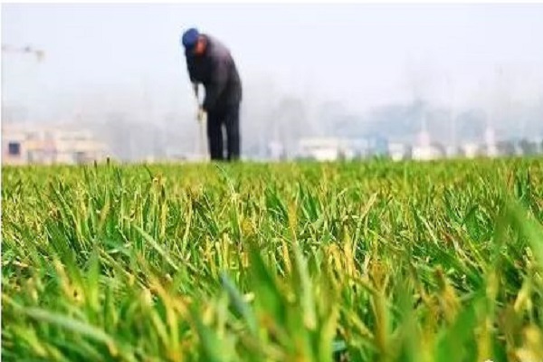 土壤养分检测仪