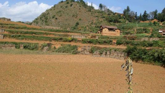 土壤肥料养分速测仪