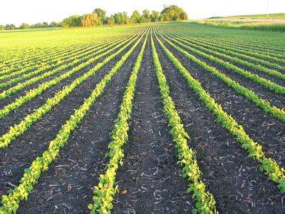 土壤肥料养分速测仪