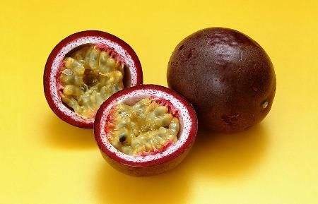 土壤肥料速测仪