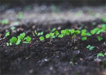 土壤肥力检测仪