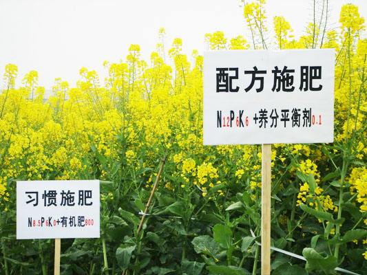 土壤快速检测仪